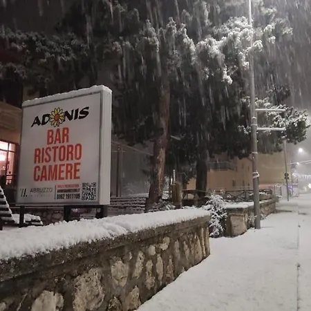 Affittacamere Adonis